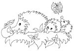 Hedgehog 1